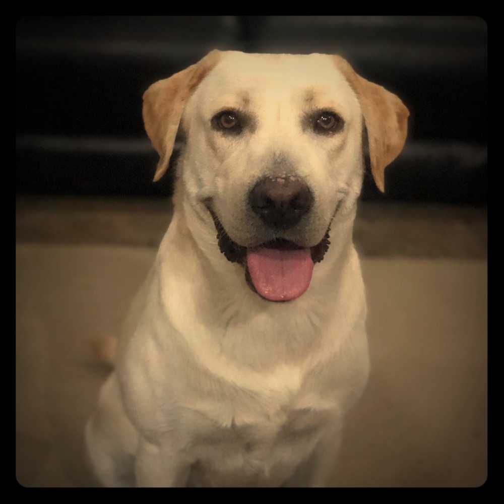 Meet your Posher, Claudia